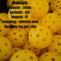 Pickleball Kit for Family and Fun - FCX