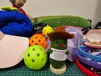 Premium Pickleball Mystery Box | Assorted Gear Lucky Dip Surprise | AU Stock - FCX